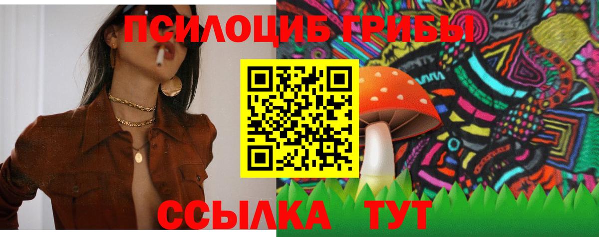 Галлюциногенные грибы Cubensis Мегион